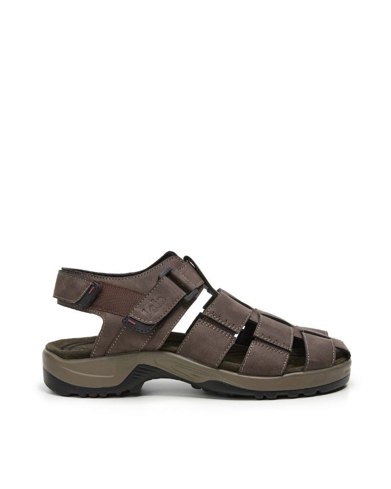 Sapatos Homem LOIS Castanho 86118