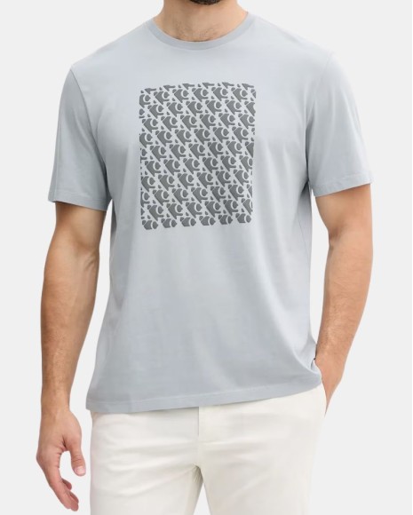  Camisetas Manga corta Hombre CALVIN KLEIN Gris LV04RC841G