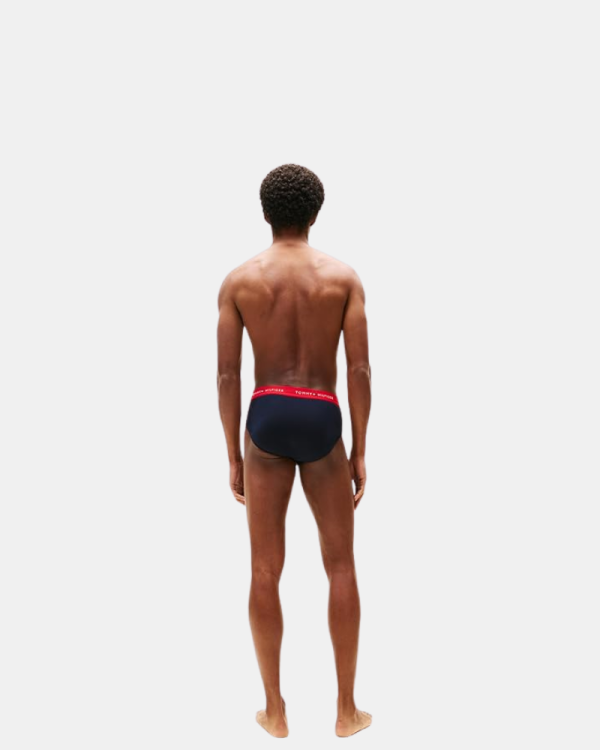 Cuecas Homem TOMMY HILFIGER Azul UM0UM0347105M 3P SLIP DTM