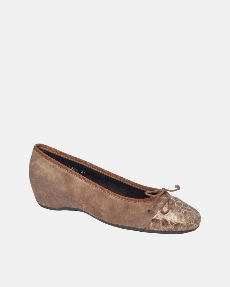  Zapatos Bailarinas Mujer CALLAGHAN Marrón 17936 43341