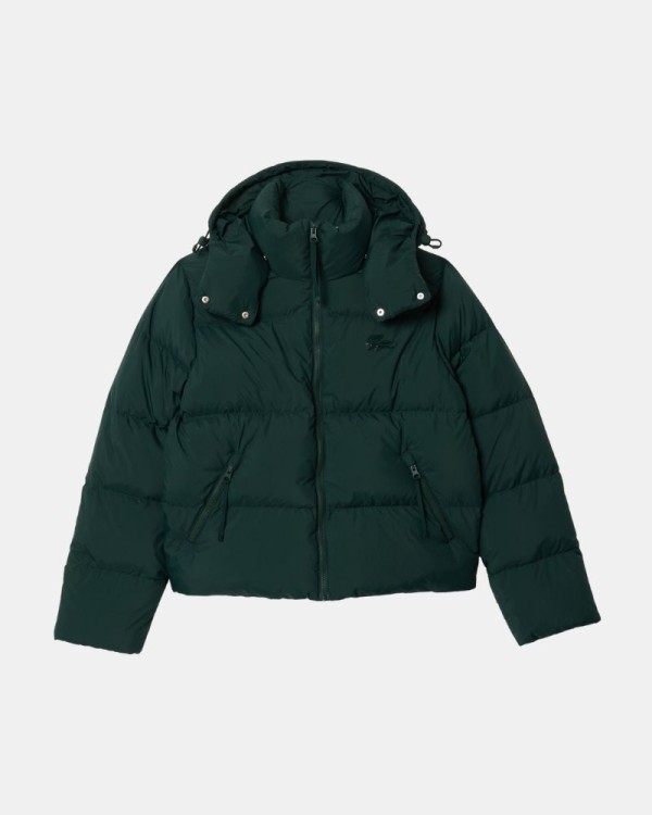  Abrigos Plumas Mujer LACOSTE Verde BF3262