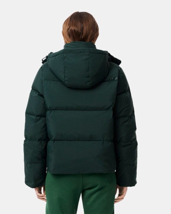  Abrigos Plumas Mujer LACOSTE Verde BF3262