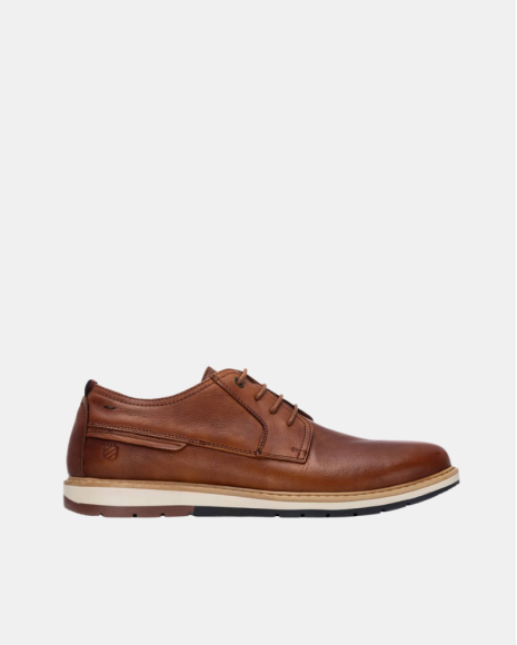 Zapatos Hombre  Marrón 163903