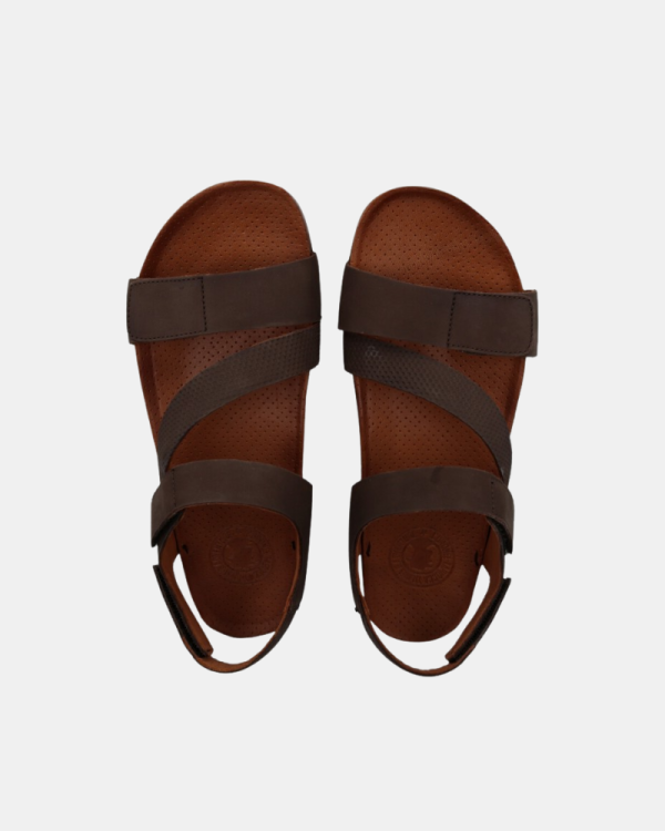 Sandalias Hombre CORONEL TAPIOCCA Marrón C708 58