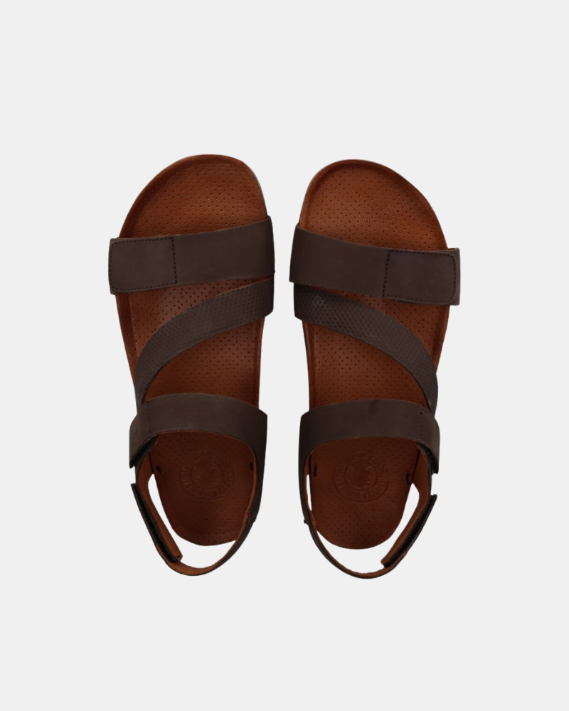 Sandalias Hombre CORONEL TAPIOCCA Marrón C708 58