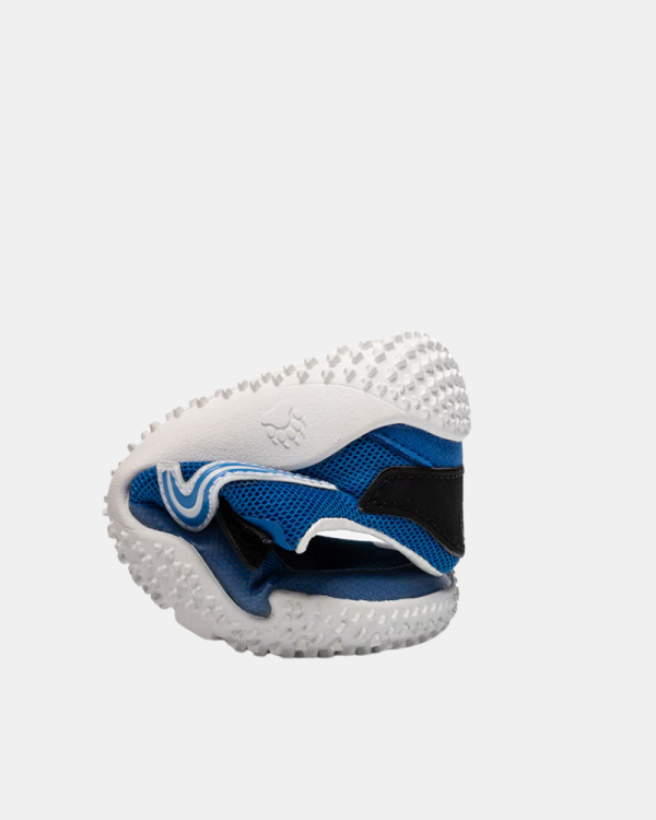 Zapatillas Barefoot Infantil PABLOSKY Azul 985640