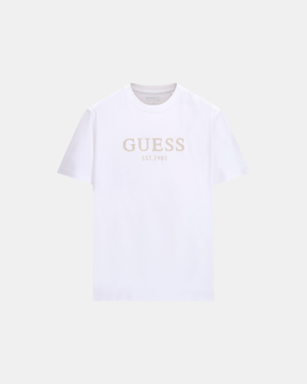 Camisetas Manga Curta Homem Branco M6YI41 K4227