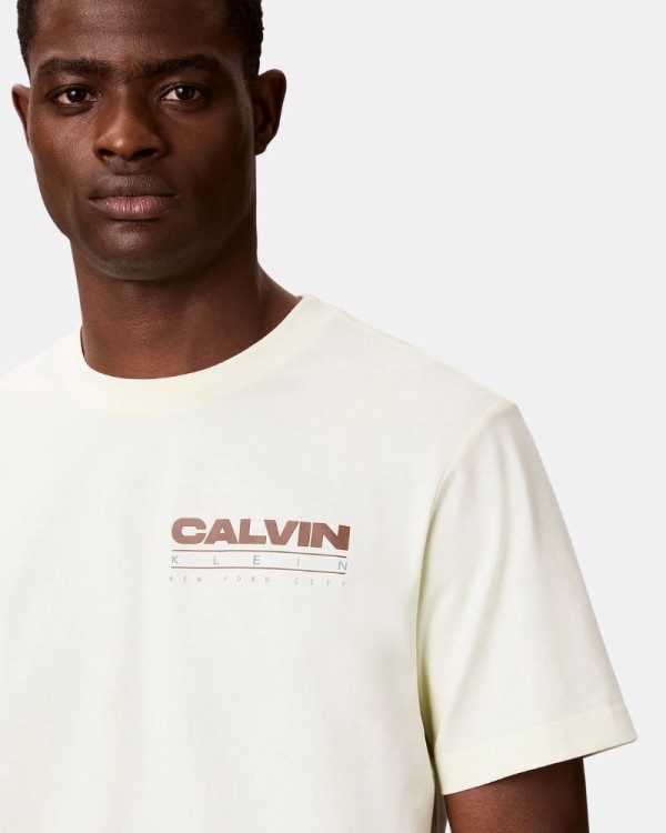 Camisetas Manga Curta Homem CALVIN KLEIN Bege LV04RG827G486