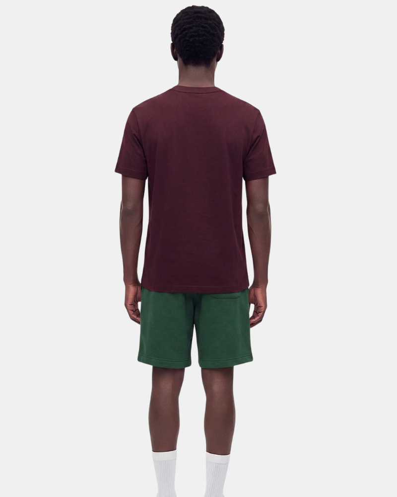 Camisetas Manga corta Hombre LACOSTE Rojo TH0753