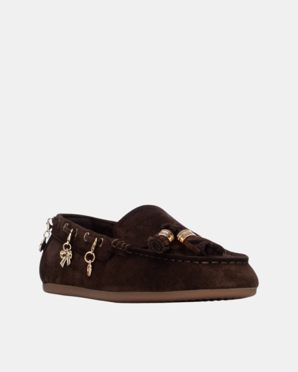 Sapatos de Mulher CARMELA Castanhos 164147
