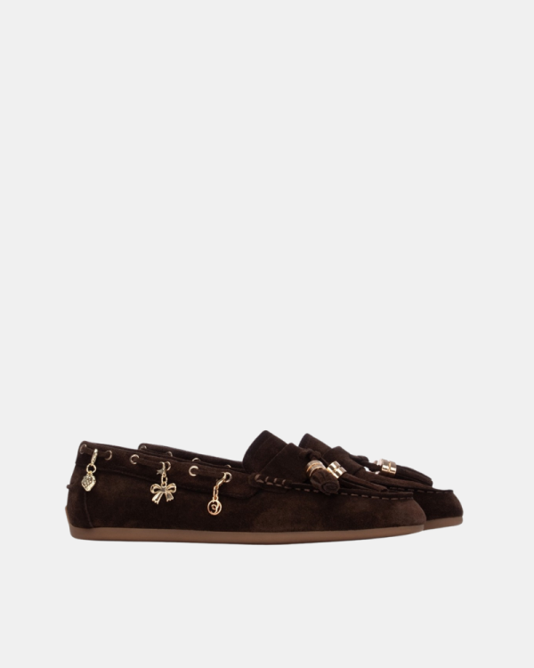 Sapatos de Mulher CARMELA Castanhos 164147
