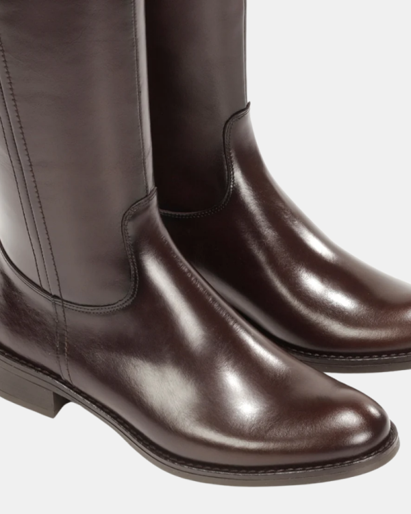 Botas Mujer DORKING Marrón D9827SRSSR
