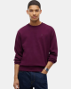 Sweatshirts de manga comprida Homem TOMMY HILFIGER Vermelho DM0DM20741V11