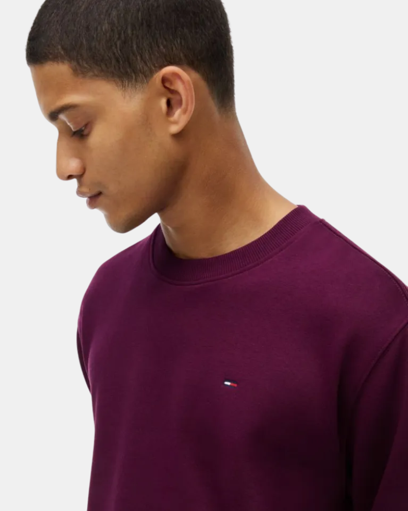 Sweatshirts de manga comprida Homem TOMMY HILFIGER Vermelho DM0DM20741V11