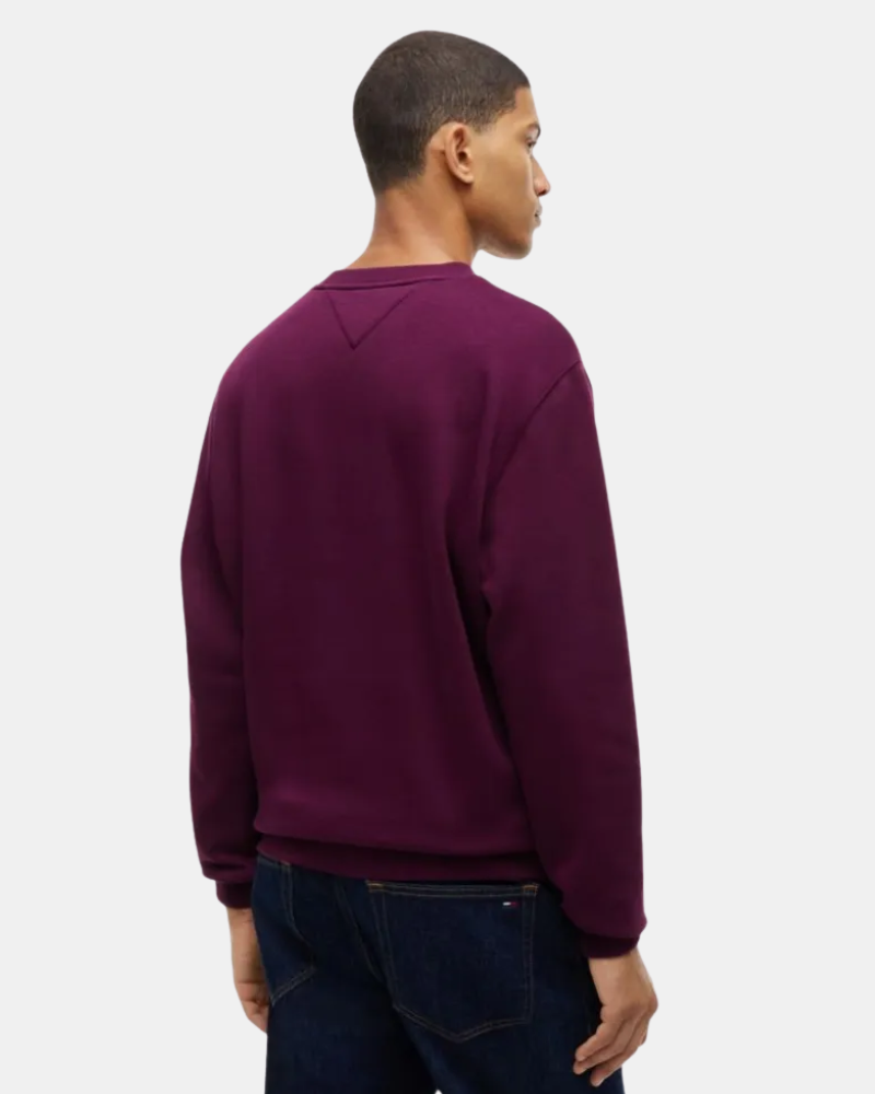 Sweatshirts de manga comprida Homem TOMMY HILFIGER Vermelho DM0DM20741V11