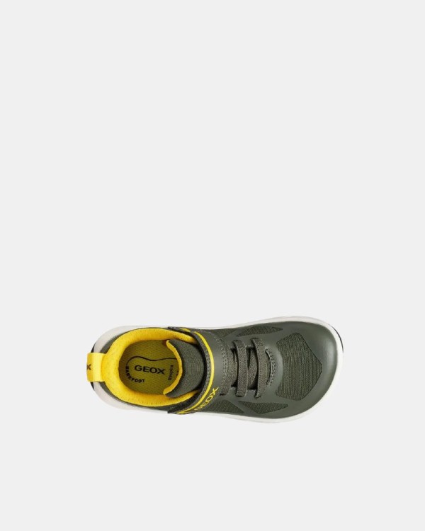 Sapatilhas Baixas Barefoot Infantil GEOX Verde J668JA 0FU54