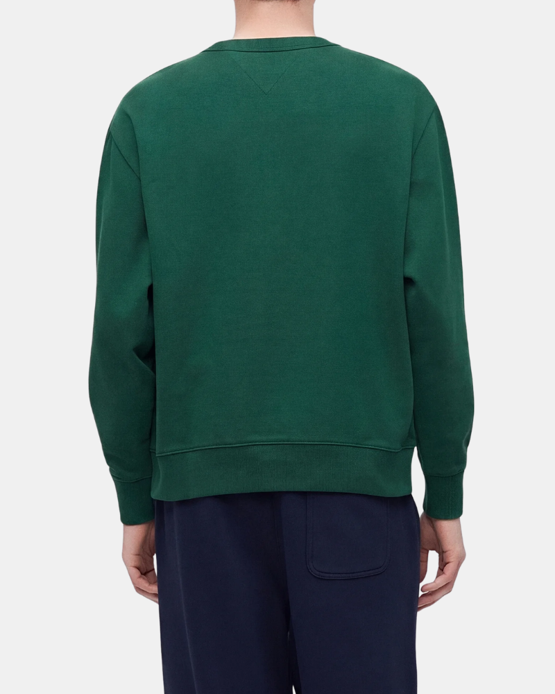 Sudaderas Manga larga Hombre TOMMY HILFIGER Verde DM0DM23596MBM