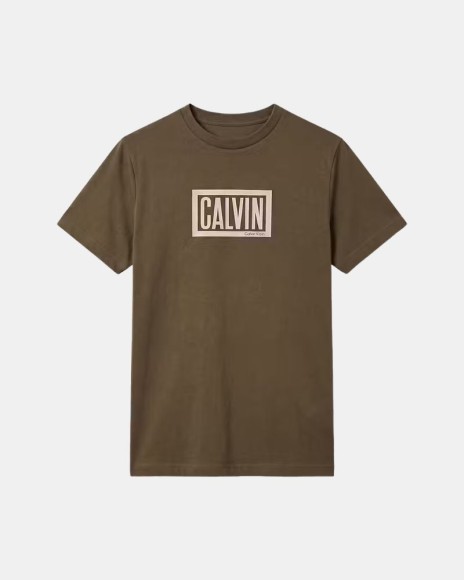 T-shirts de manga curta para homem CALVIN KLEIN Verde LV04RH818GLI1