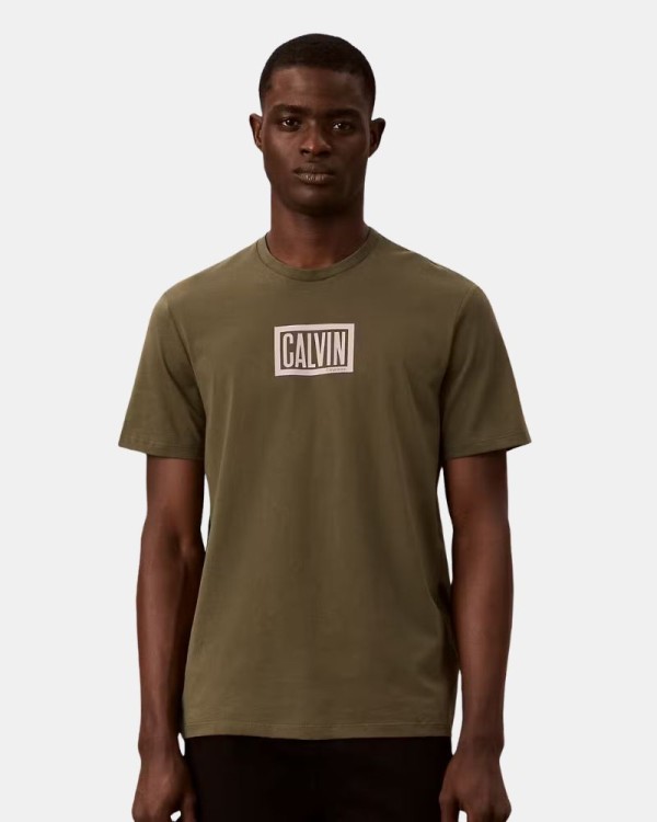 Camisetas Manga corta Hombre CALVIN KLEIN Verde LV04RH818GLI1