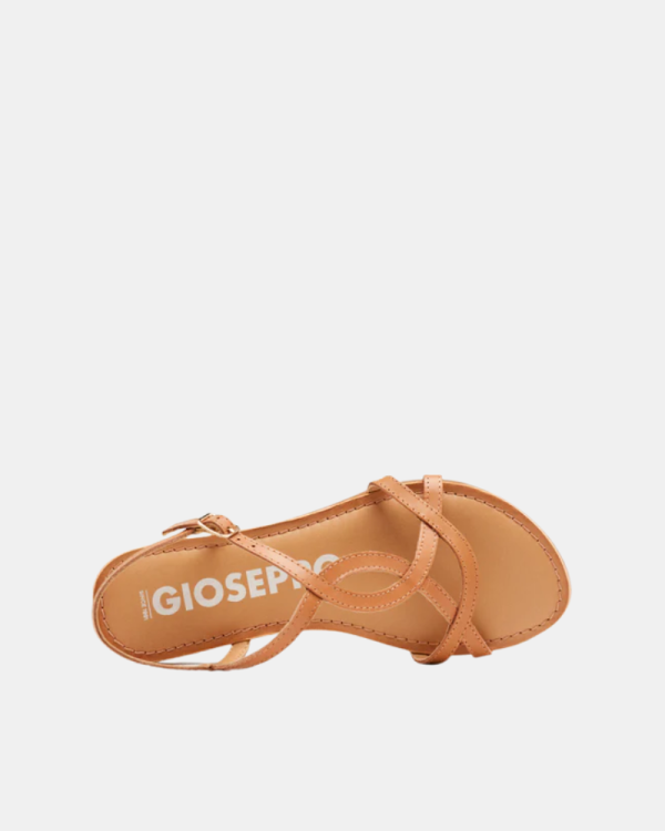 Sandalias Abiertas Mujer GIOSEPPO Marrón 69113 P LAMIM