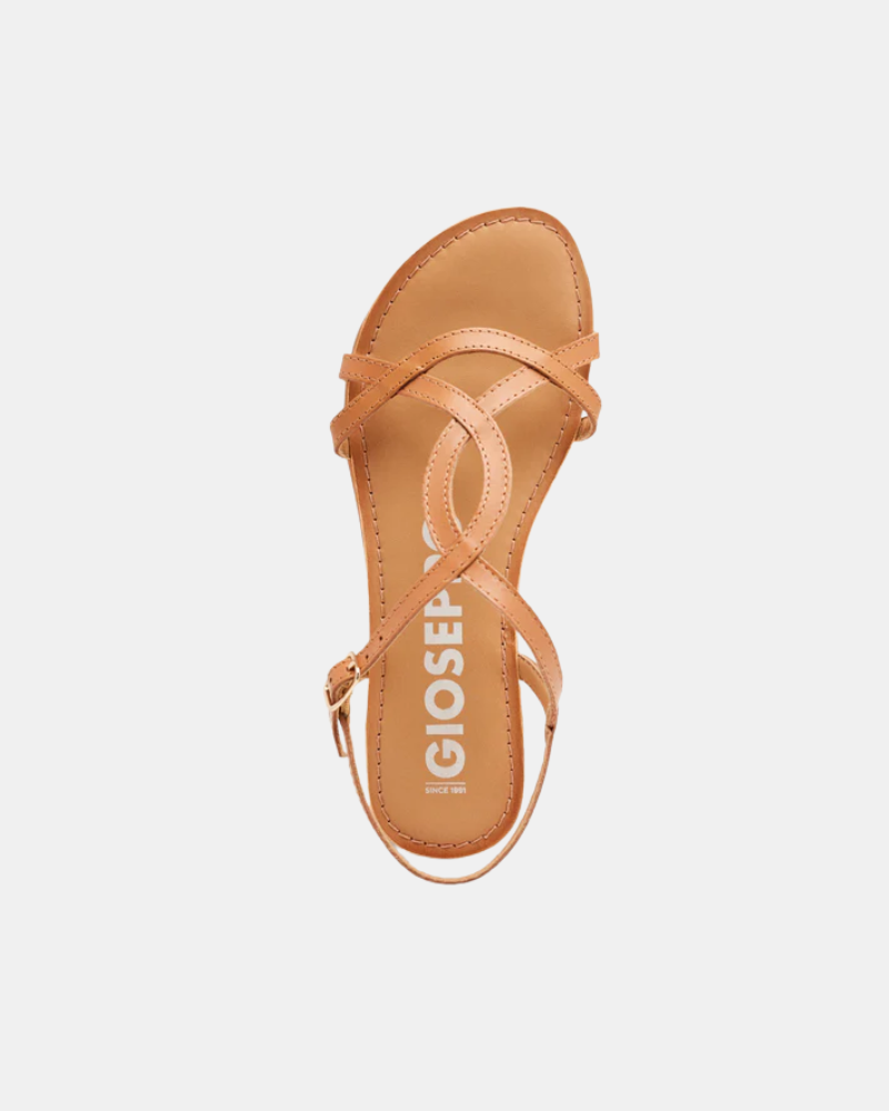 Sandalias Abiertas Mujer GIOSEPPO Marrón 69113 P LAMIM