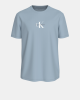 Camisetas Manga corta Hombre CALVIN KLEIN Azul LV04RB866GUPI