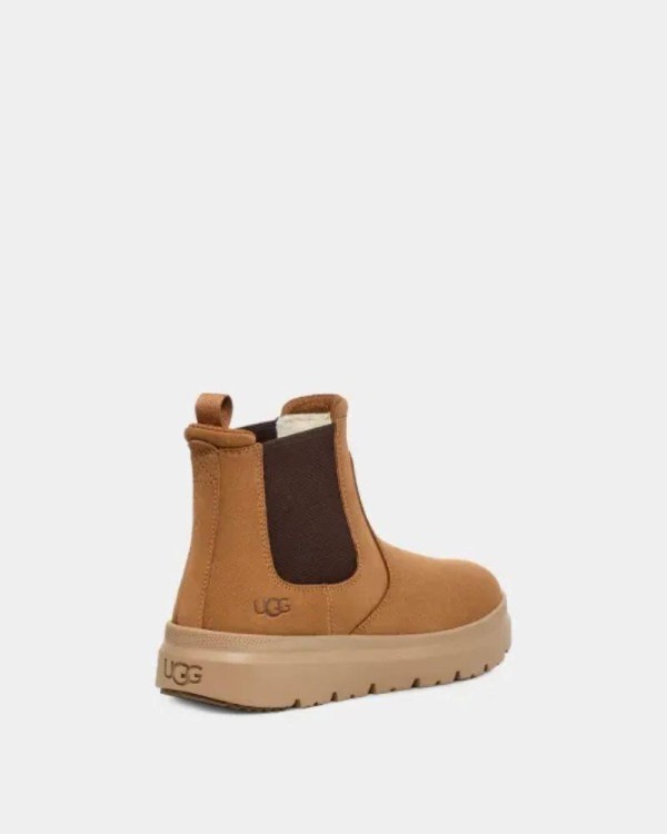  Botas Hombre UGG Marrón 1152050 BURLEIGH CHELSEA